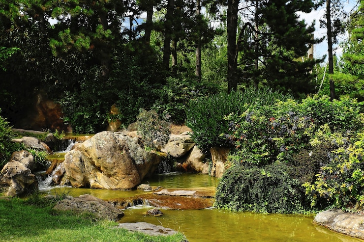 Free Photo beautiful shot of a rocky mountain river surrounded with plants and trees on a daylight