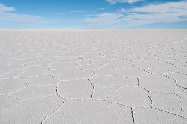 ボリビアのインカウアシ島の真っ青な空の下で平らな塩の美しいショット