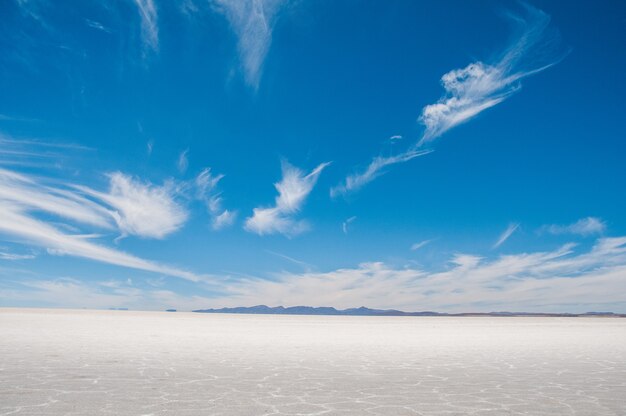 ボリビアのインカウアシ島の塩原の美しいショット