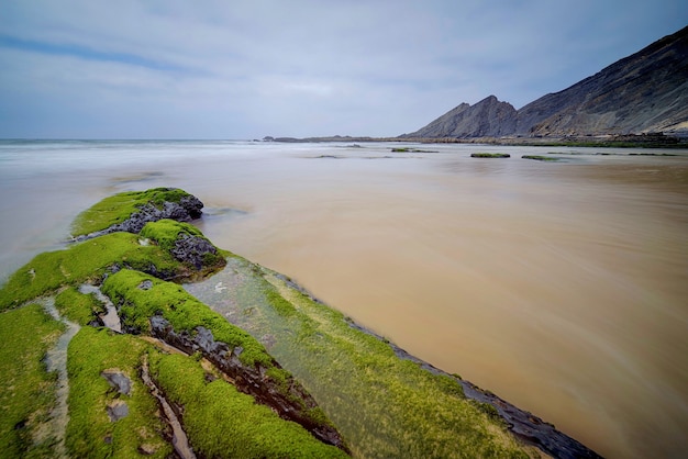 Free photo beautiful shot of a sandy coastline scenery and the cloudless sky