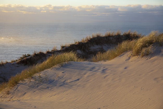 Free photo beautiful shot of a sandy land with the beautiful sky