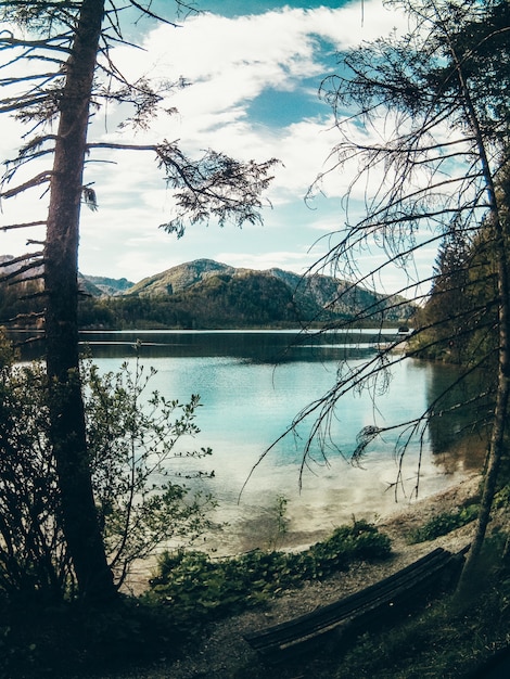 Foto gratuita bello colpo del paesaggio del lago e della foresta con verde