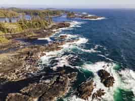 Foto gratuita bellissimo scatto di un mare circondato da una foresta e pietre rocciose