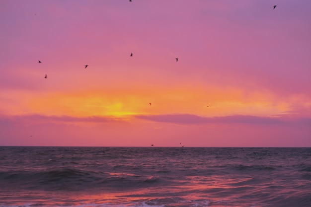 Foto gratuita bellissimo scatto del mare con il fantastico sole splendente all'orizzonte durante il tramonto