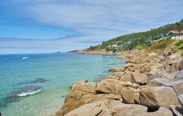 Beautiful shot of a sea with rocky stones and trees alongside