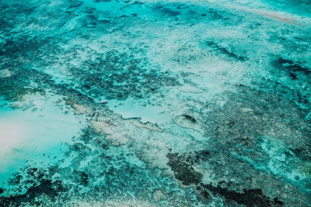 息をのむような質感の海底の美しいショット-ユニークな背景や壁紙に最適