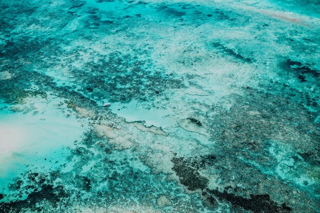 Красивый снимок морского дна с захватывающими дух текстурами - отлично подходит для уникального фона или обоев
