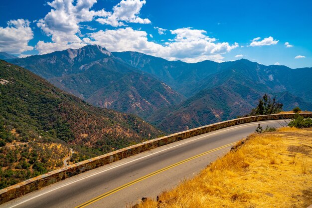 Beautiful shot of Sequoia national forest on Sierra mountains background