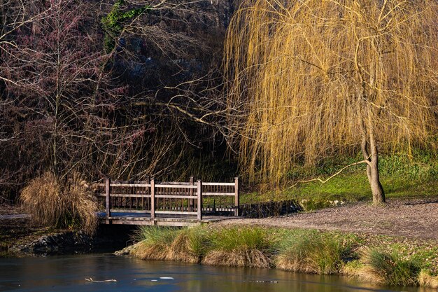 昼間のクロアチア、ザグレブのマクシミール公園の湖にある小さな橋の美しいショット