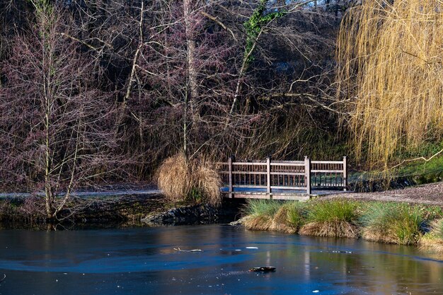 昼間のクロアチア、ザグレブのマクシミール公園の湖にある小さな橋の美しいショット