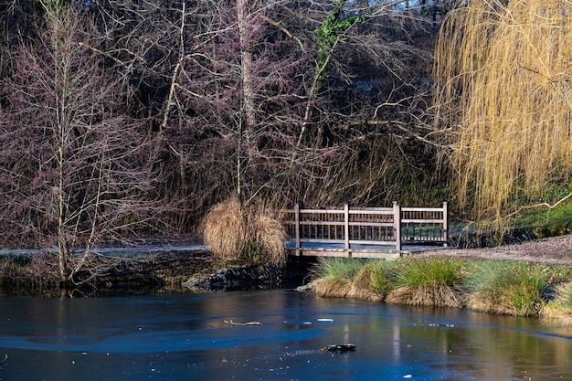 昼間のクロアチア、ザグレブのマクシミール公園の湖にある小さな橋の美しいショット