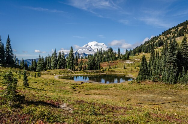 Beautiful shot of a small pond near trees with a snowy mountain in distance under blue sky