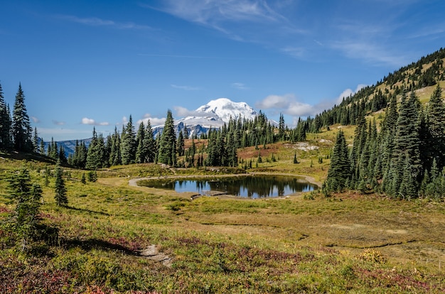 Beautiful shot of a small pond near trees with a snowy mountain in distance under blue sky