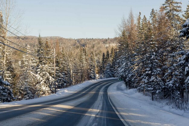 田舎の雪に覆われた狭い道の美しいショット