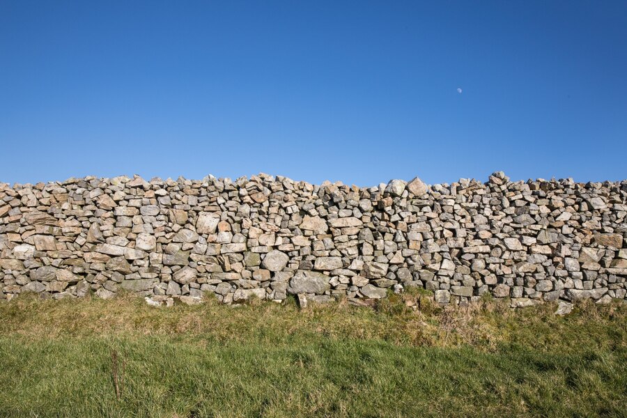 How to Protect Your Retaining Wall from Water Damage: Essential Tips for Longevity