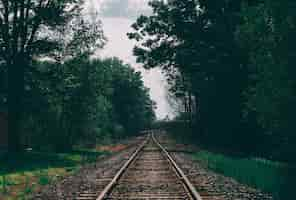 Foto gratuita bello colpo di un binario del treno circondato dagli alberi