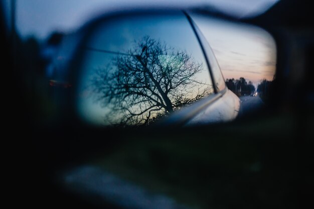 Красивый снимок дерева отражается в боковом зеркале автомобиля