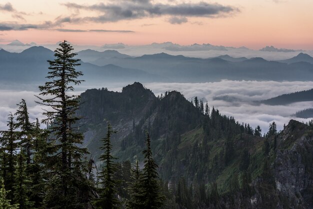 Beautiful shot of trees near forested mountains above the clouds with a light pink sky