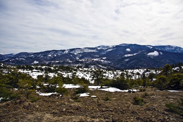 Beautiful shot of trees in a snowy field with mountains in the distance under a cloudy sky