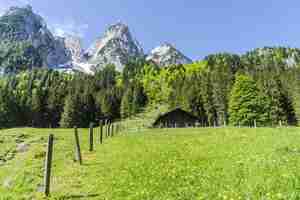 Foto gratuita bellissimo scatto di alberi e montagne innevate sotto un cielo limpido in campagna