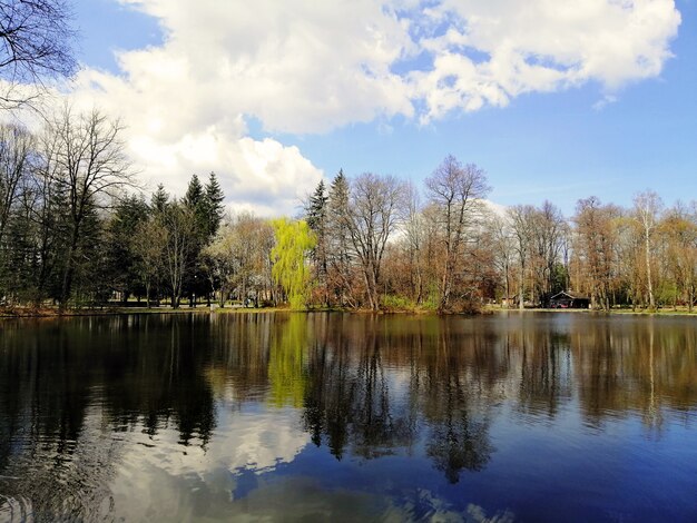 나무와 Jelenia Góra, 폴란드에있는 연못에 그들의 반영의 아름 다운 샷.