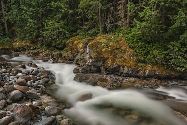 Beautiful shot of tye river in washington