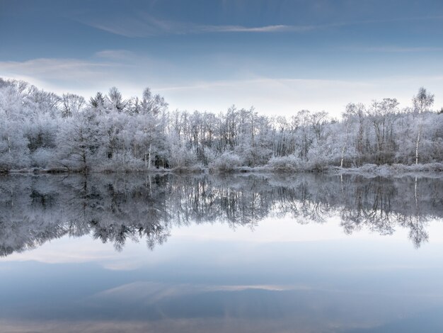 Beautiful shot of the water reflecting the snowy trees under a blue sky