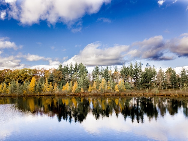 Beautiful shot of water reflecting the trees on the shore under a blue cloudy sky