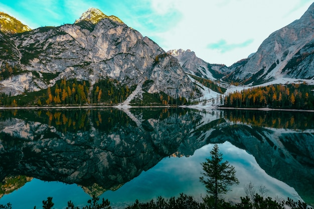 Красивая съемка воды отражая желтые и зеленые деревья около гор с голубым небом