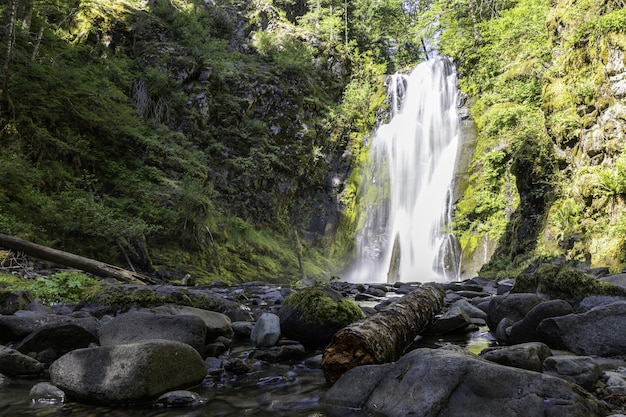 Beautiful shot of a waterfall in a bright green forest