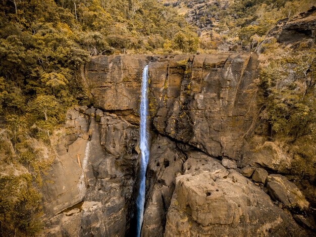 パプアニューギニアの木々に囲まれた滝の美しいショット
