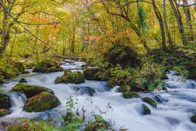 Free photo beautiful shot of a waterfall in a water stream surrounded by a forest