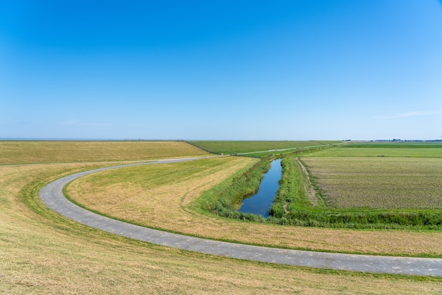 Beautiful shot of a winding road leading through a field in the Netherlands under a clear blue sky