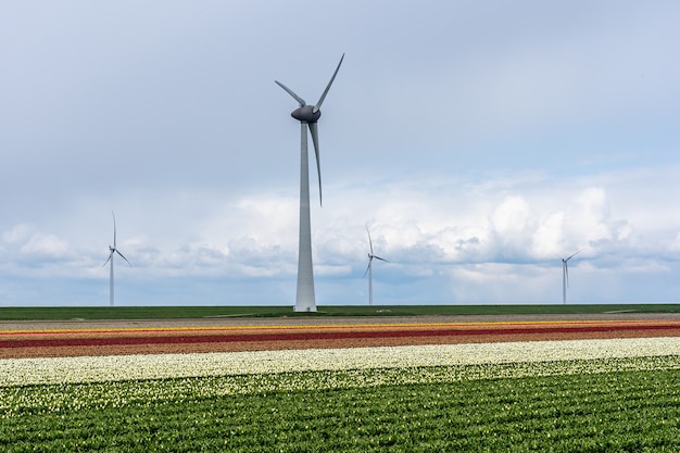 Красивый снимок ветряных мельниц в поле с пасмурным и голубым небом