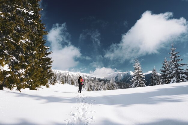 Beautiful shot of a woman walking in the snowy Carpathian Mountains surrounded by trees in Romania