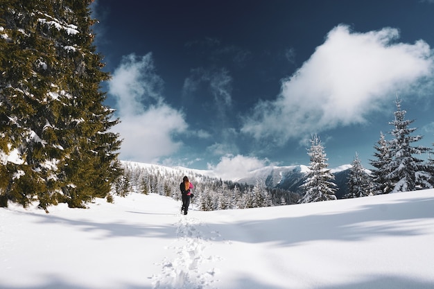 ルーマニアの木々に囲まれた雪に覆われたカルパティア山脈を歩いている女性の美しいショット