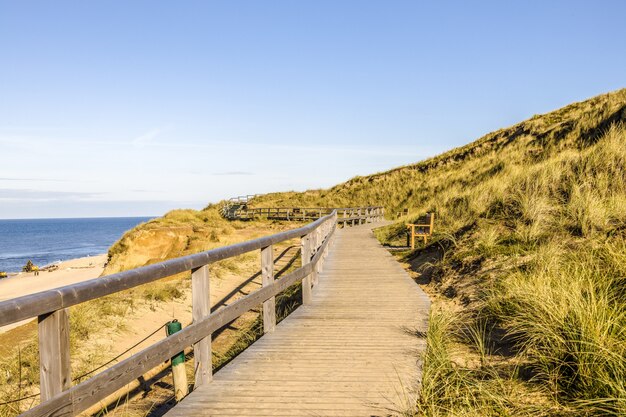 Beautiful shot of a wooden path in hills at the shore of the ocean in Sylt Island in Germany