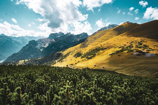 Beautiful shot of a yellow hillside and cloudy sky