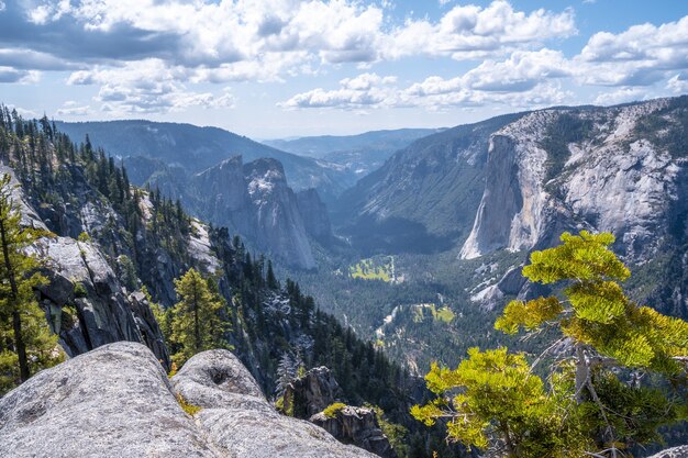 Beautiful shot of the Yosemite National Park in the USA