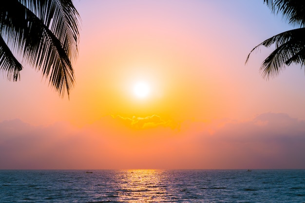 무료 사진 일몰 또는 일출 시간에 하늘 니어 바다 오션 비치에 아름다운 실루엣 코코넛 야자 나무