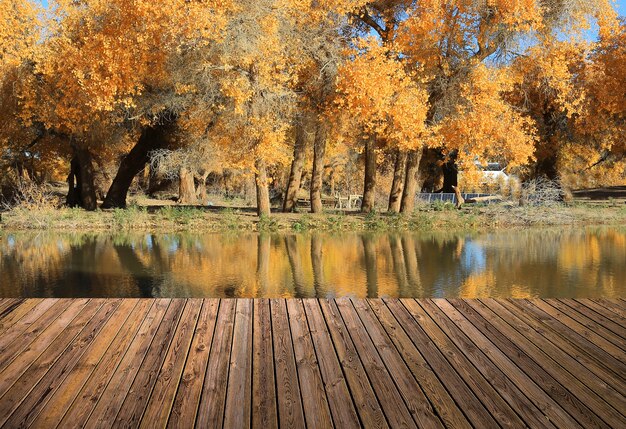 Beautiful sky and river with the floor