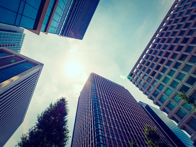 Beautiful skyscraper with architecture and building around city