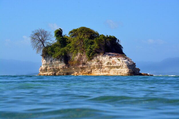 Beautiful small island covered with trees in the middle of the ocean under the clear blue sky