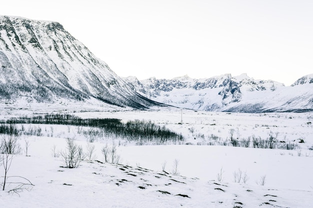 Красивый вид на заснеженный пейзаж в Норвегии