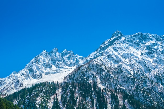아름 다운 눈 덮힌 산 풍경 카슈미르 주, 인도