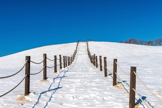 無料写真 美しい雪の階段の通路と雪に覆われた青い空、冬の風景