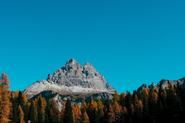 Beautiful sot of yellow and green trees with mountain and blue sky