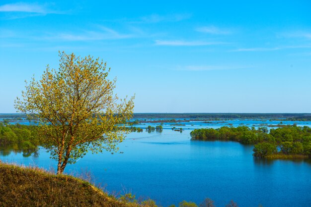 美しい春の風景。丘からの洪水の素晴らしい眺め。ヨーロッパ。ウクライナ。白い雲と印象的な青い空。丘の上の小さな木