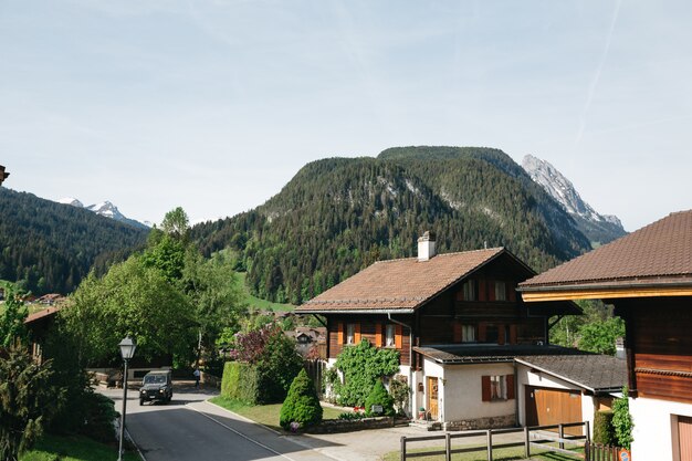 スイスの美しい春の山