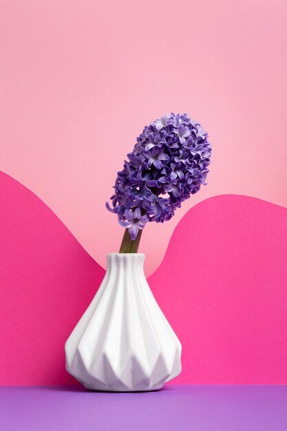 beautiful spring wallpaper with purple hyacinth